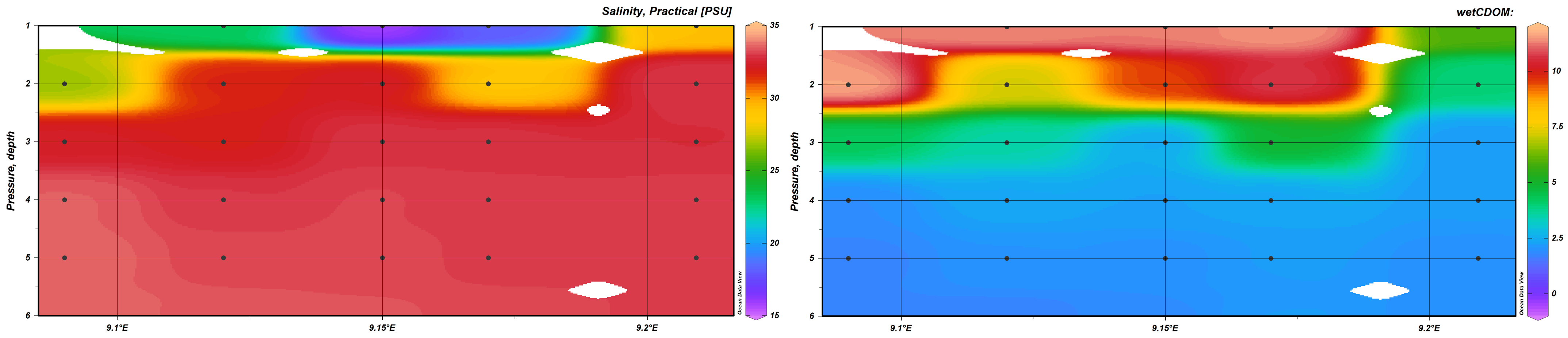 Figure 3 Salinity (left) and cDOM (right) at the five stations sampled in February 2022. The influence of the fresher and darker water coming in the Sandnesfjord is quite evident in the upper 2m depth.