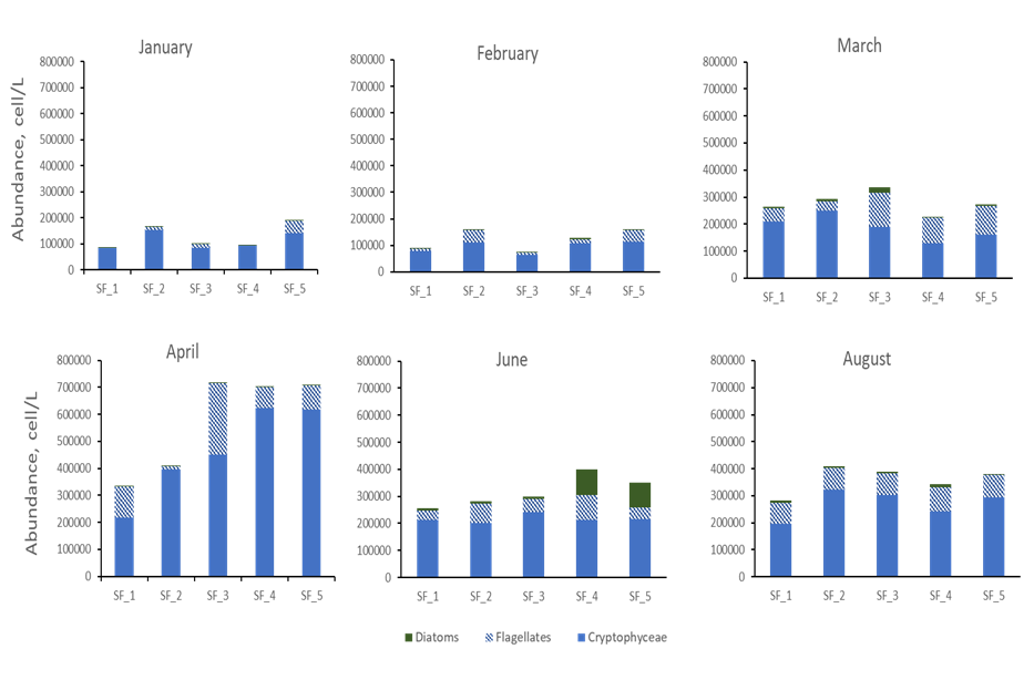 Figure 4 Phytoplankton abundance presented for all months and station. In blue phytoplankton cells smaller than 5µm while in green is the diatom contribution.