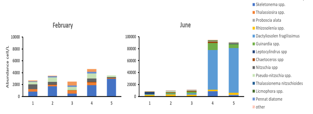 Figure 5 Diatom composition in February and June. Note that the abundances in June are 10 times higher than in February.