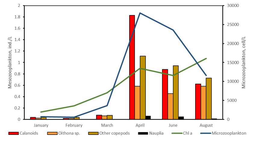 Figure 7 Mesozooplankton monthly abundance at station 4 shown in association with Chlorophyll a (green) and Microzooplankton (blue) concentrations.