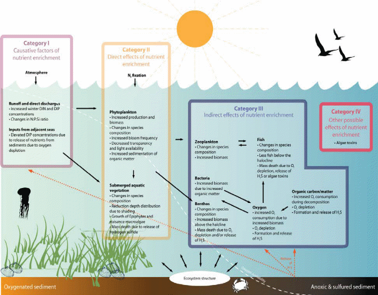 Figure NI42.3: Simplified illustration of many of the issues associated with eutrophication. DIN is dissolved inorganic nitrogen and DIP is dissolved inorganic phosphorus. N:P:Si is the ratio between nitrogen, phosphorus, and silicate (after Ferreira et al. (2011) and Fig. 1.2 in OSPAR (2017) .