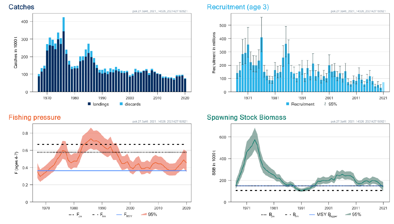 Figure D.1.6. Saithe in subareas 4 and 6, and in Division 3.a. Summary of the stock assessment. The assumed recruitment value for 2021 is shaded in a lighter colour. Landings and discards are for ages 3–10+ only, as used in the assessment. From (ICES, 2021f).