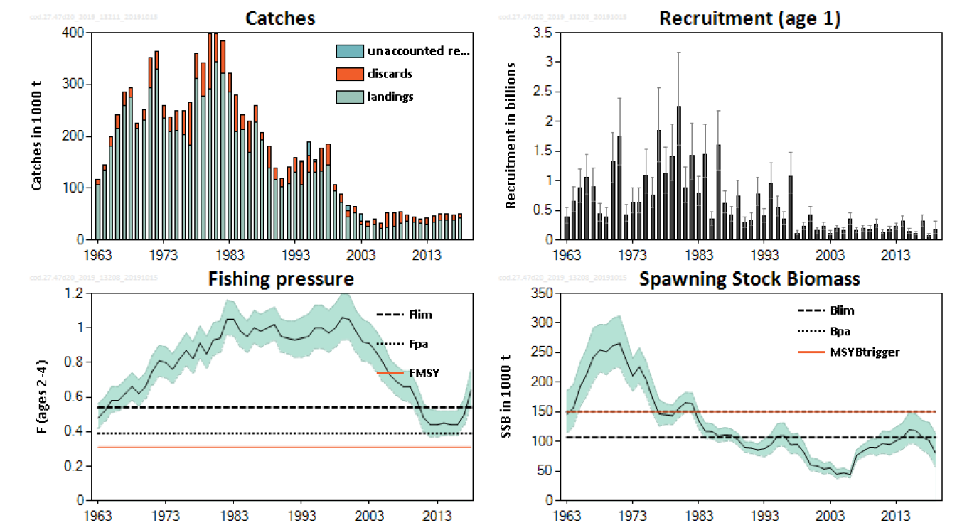 Figure D.1.3 . Cod in Subarea 4, Division 7.d, and Subdivision 20. Summary of the stock assessment. Catches are assessment estimates. Only positive unaccounted removals are plotted. Shaded areas (F; SSB) and error bars (R) indicate 95% confidence intervals. From (ICES, 2021a). Note that fishing pressure is shown for age groups 2-4. The pattern is similar for older age groups (ICES, 2021h).