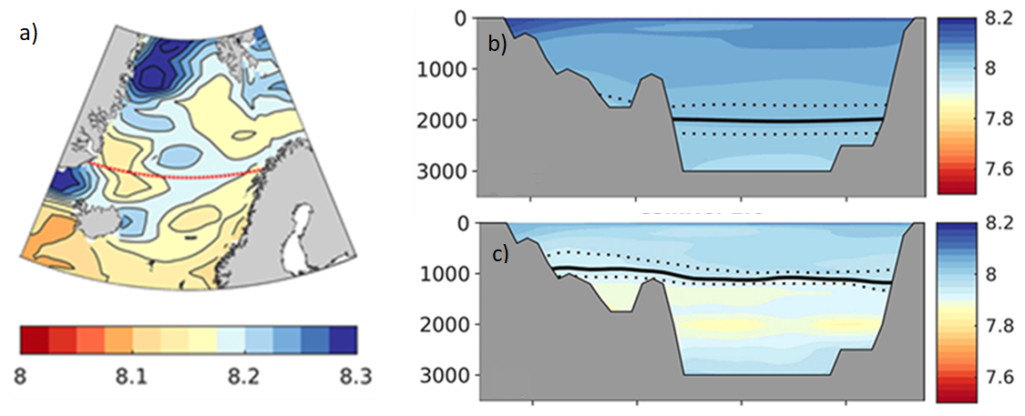 Panel a. A map of the Nordic Seas with a line indicating a cross section and a color scheme of pH from 8 to 8.3. Highest values are found NE of Greenland. Panels b and c show that the  saturation horizon of aragonite in this section rises from around 2000m today to 1000m under the moderate RCM2.6 scenario.