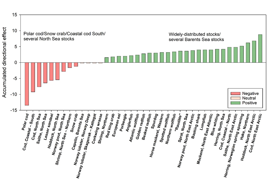 This is a histogram with various fish names along the x-axis, and a relative scaled "Accumulated directional effect" along the y-axis. Polar cod and Snow crab in the north and several North Sea stocks are in the red, a negative development is projected. However, for most stocks a positive development is shown, with hake expanding in the North Sea and cod and haddock in the Barents Sea at the top end.