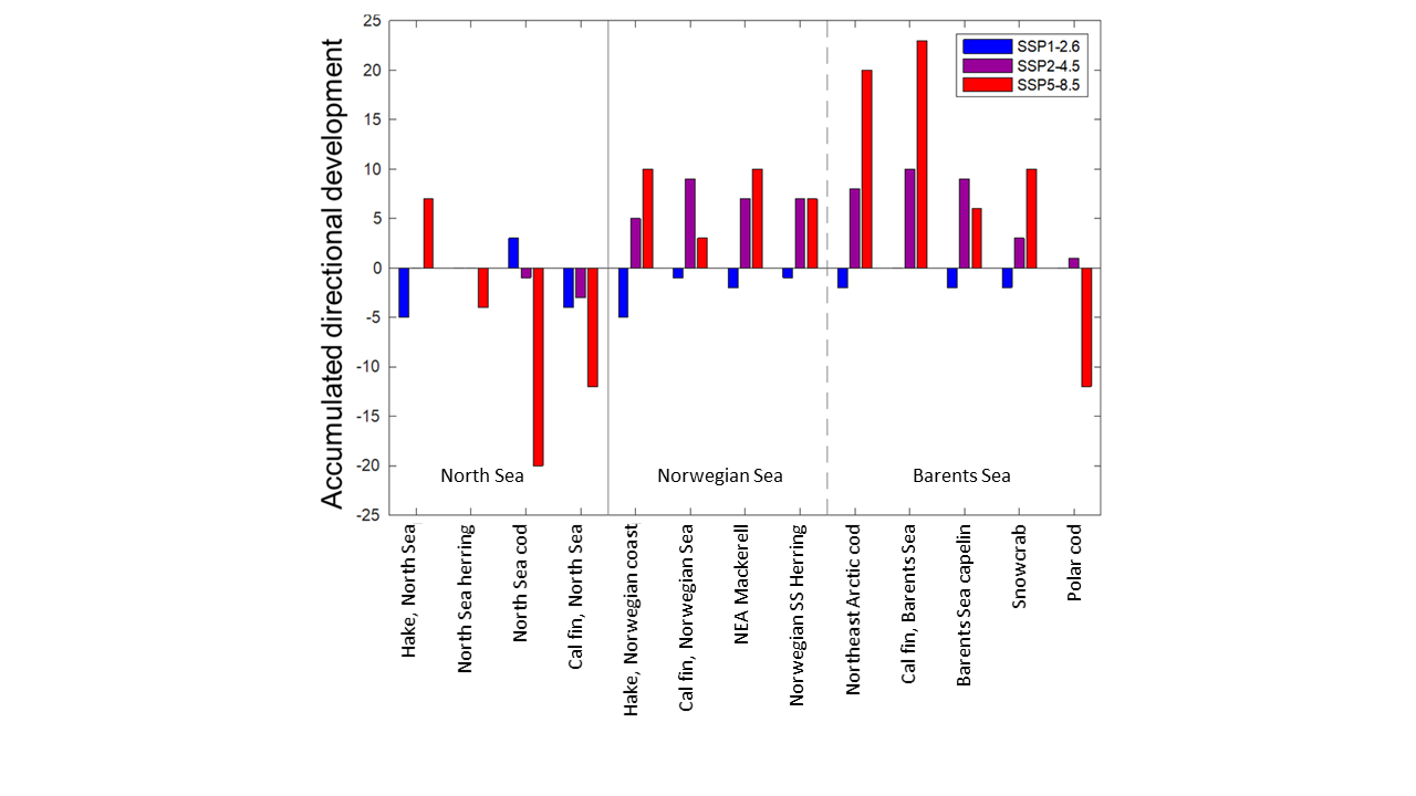 Also a histogram with fish species along the x-axis and "Accumulated directional development along the y-axis. Here, separate bars are given for each of three main climate scenarios. The differences between scenarios is pronounced. For SSP1-2.6 a weak decrease is the general pattern in the three regions North Sea, Norwegian Sea, and Barents Sea. The moderate scenario cause little response in the North Sea, but an increase in all stocks shown for the Norwegian and Barents Seas. The extreme climate scenario gives strong response sin all three seas. In the North Sea a positive development for hakes, strongly negative for cod and the copepod calanus finmarchicus. For the Norwegian and Barents Seas positive responses are shown for all stocks included, except for polar cod which will decrease strongly.