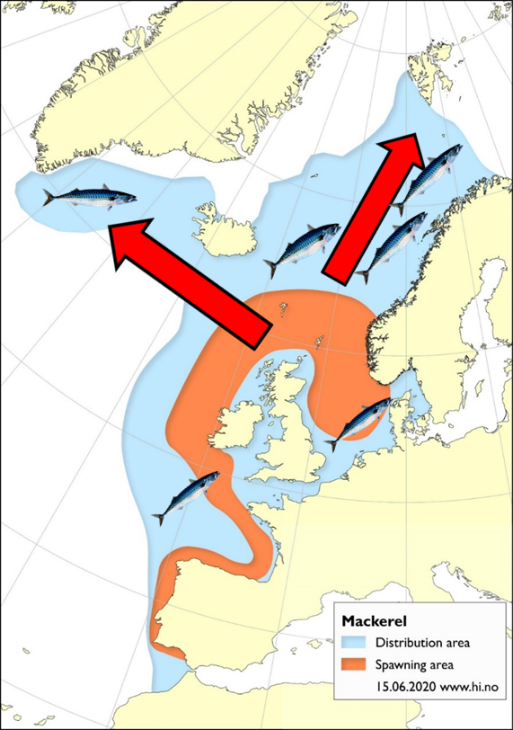 A map of NE European waters. The spawning area that is shown stretches from the coasts of Portugal, northwards to and along the western and northern coasts of the British Isles and covering most of the North Sea. The distribution area, after expansion, covers from northern Marokko up to southern Greenland and SW Spitsbergen. Arrows show the vast expansion.  