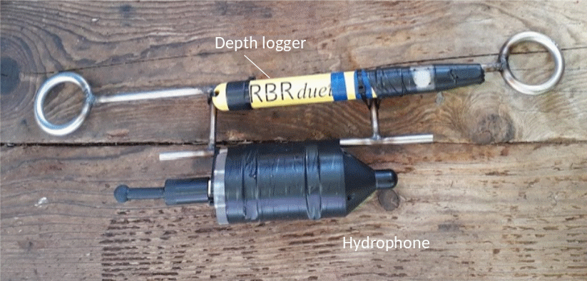 Figure 7. The sound trap hydrophone. 
