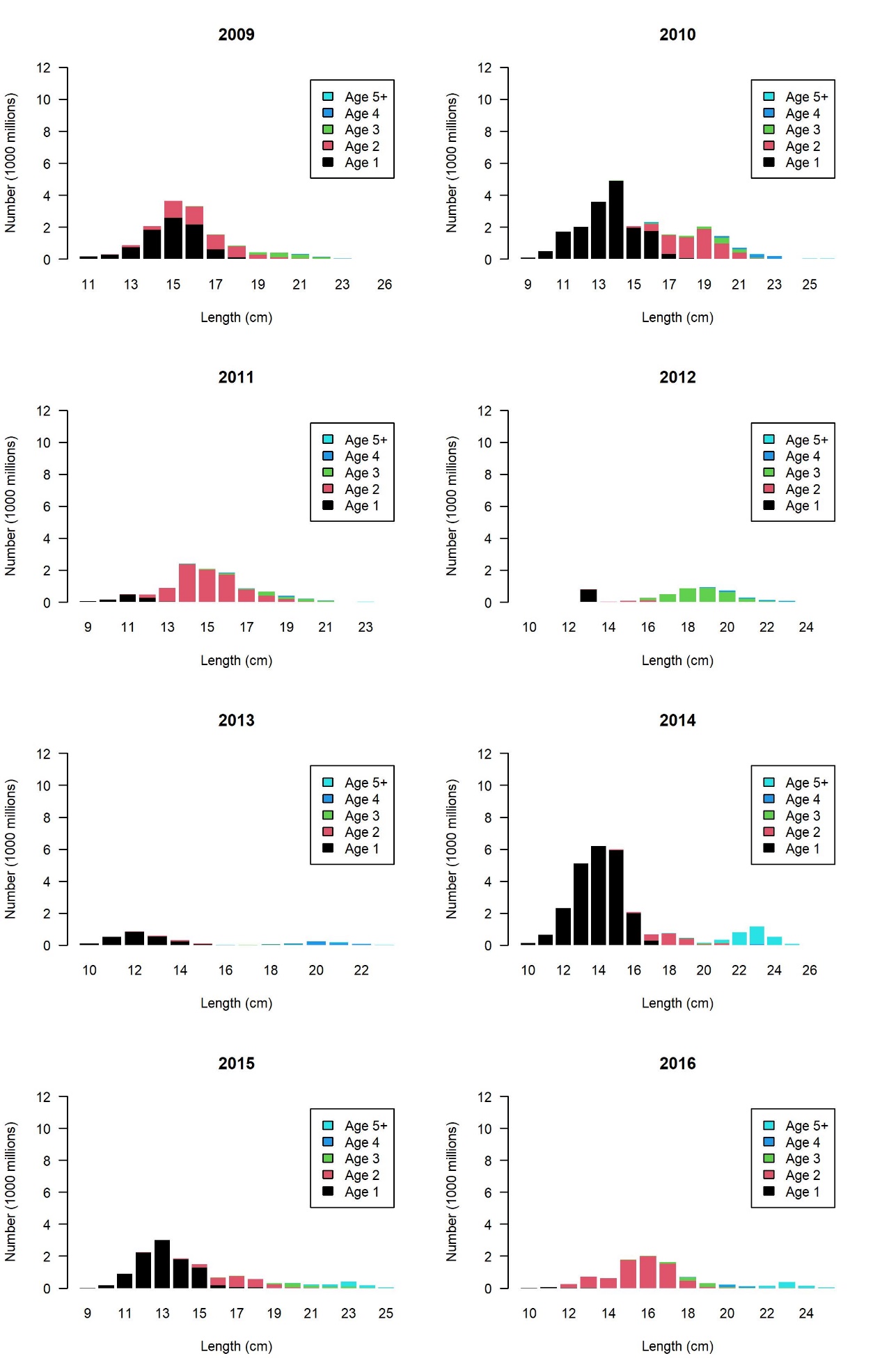 Totalantall per lengde- og aldersgruppe for perioden 2009-2016 (ekskl. Nordgyden og Vikingbanken) estimert fra det akustiske toktet.