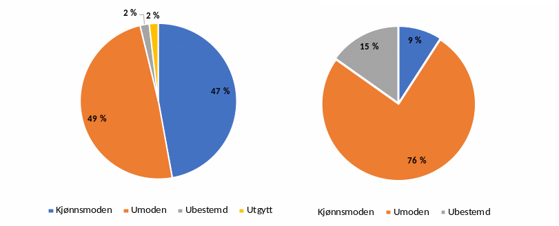 Figur 6 Kjønnsmodning hos oppdrettslaksen registrert på fella i 2022 (venstre) og i utfiskinga nedstraums fella (høgre). Sexual maturation in escaped farmed salmon captured on the trap (left) and in the selective autumn angling (right).