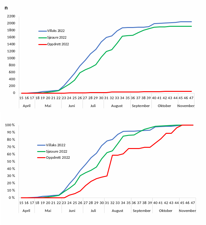 Figur 3Kumulativ oppvandring av vill og rømt laks og sjøaure pr veke i fella 2022, absolutt tal (øverst) og prosentvis (nederst). Cumulative upstream migration of escaped salmon, and wild salmon and sea trout captured in the fish trap per week in 2022, with absolute numbers (upper) and precentage (lower).