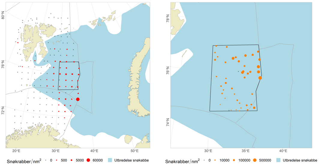 Figure 9.11.2. Map showing the stations and catches of snow crab (number of nautical miles) from BESS survey and from the snow crab survey. 