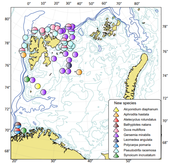 Fig. 9.12.1 a and b. The number of species identified (black line) during 2004-2021 across the number of stations (dotted line) (left side) and the areas where new species was recorded in 2021 (right side).