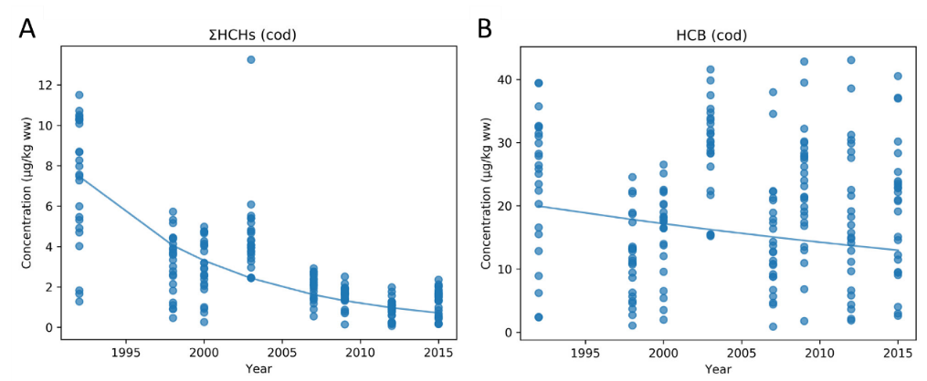 Levels of POP in cod liver, and when corrected for median fish weight