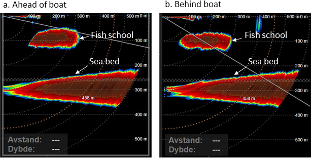 Figure A2. Example (School 1 in figure A7) of cross section of a school ahead (a) and behind (b) the boat. The school was monitored with the vertical beams of the sonar at a range of 100 - 300 m from the boat.