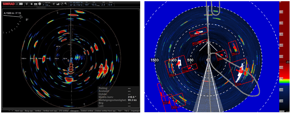 Figure A1. Example of a situation where a large number of small schools are detected with the sonar. To the left is a screen dump from the sonar and to the right from PROFOS (LSSS).