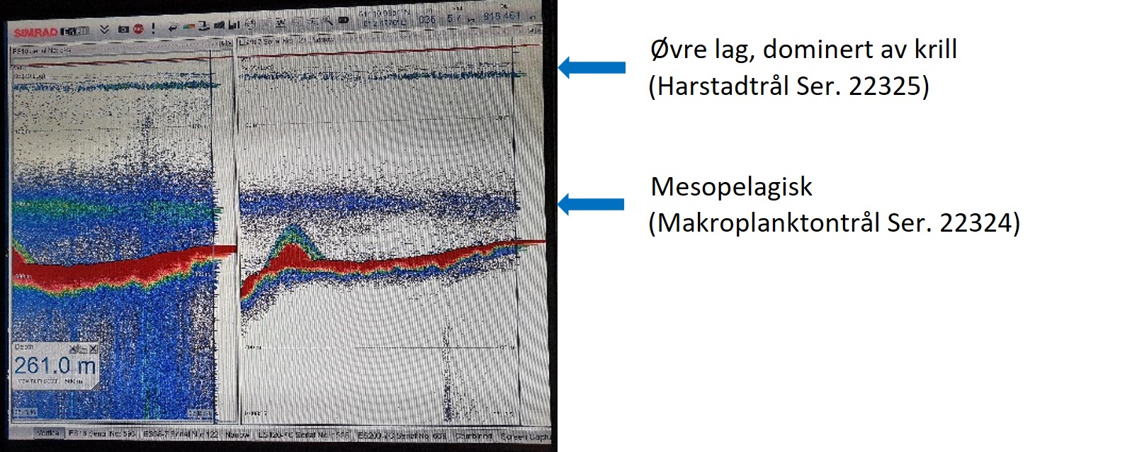 Akustikken viser to lag av liv i vannsøylen, et øvre lag dominert av krill og et dypere lag dominert av mesopelagisk fisk. Det øvre laget ble samplet vha Harstad-trålen, mens det dypere aget ble samplet vha. Makroplantontrålen.