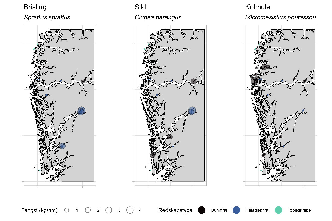 Figuren viser tre kartutsnitt med utbredelse i toktområdet for brisling (venstre), sild (midten) og kolmule (høyre). Fangstfordeling (kg/nm) er representert med sirkler med 4 ulike størrelser med verdiene 1 til 4, og har farge som representerer de ulike redskapstypene bunntrål (svart), pelagisk trål (blå) og tobisskrape (grønn).