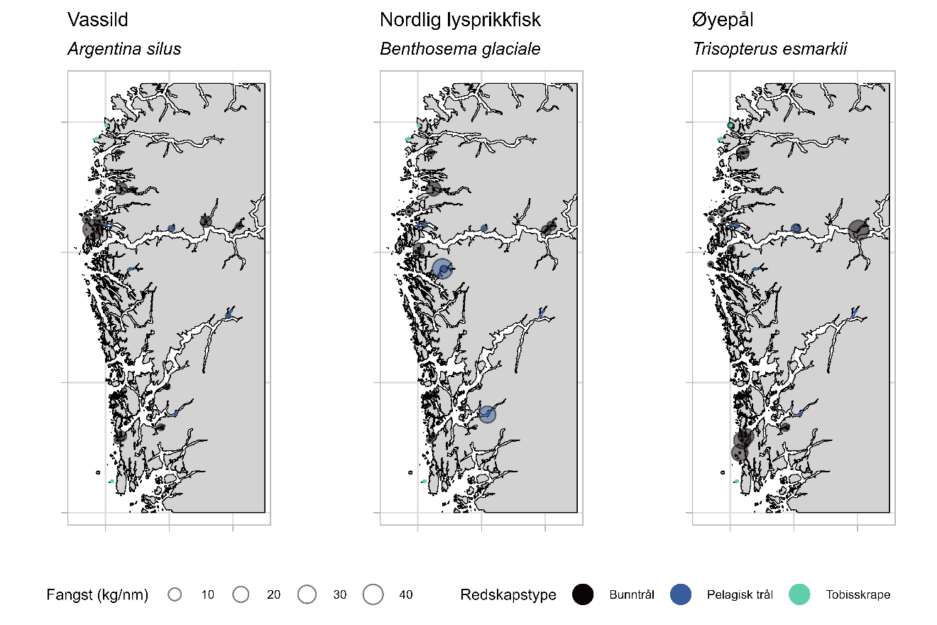 Figuren viser tre kartutsnitt med utbredelse i toktområdet for vassild (venstre), nordlig lysprikkfisk (midten) og øyepål (høyre). Fangstfordeling (kg/nm) er representert med sirkler med 4 ulike størrelser med verdiene 10 til 40, og har farge som representerer de ulike redskapstypene bunntrål (svart), pelagisk trål (blå) og tobisskrape (grønn).