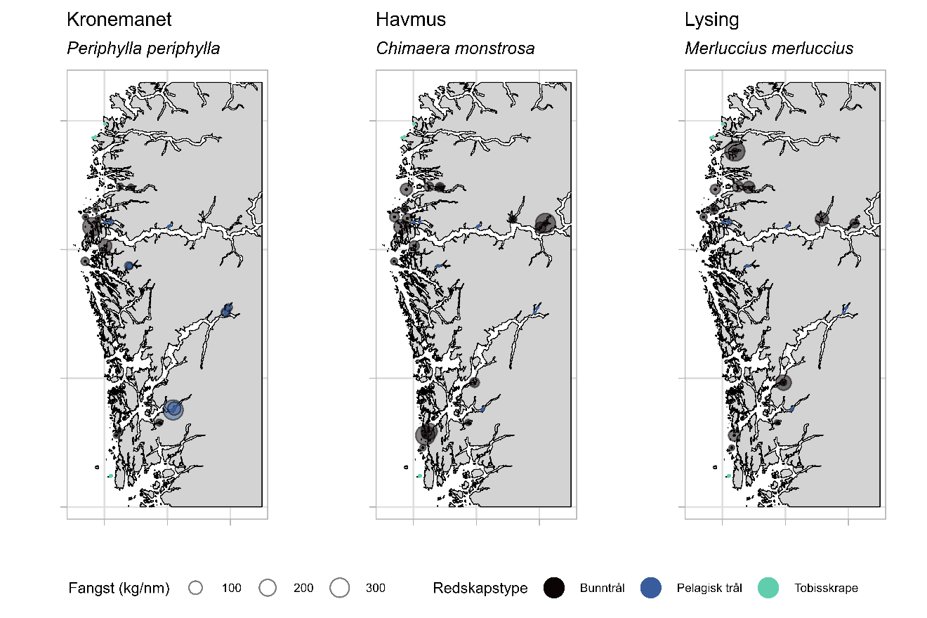 Figuren viser tre kartutsnitt med utbredelse i toktområdet for kronemanet (venstre), havmus (midten) og lysing (høyre). Fangstfordeling (kg/nm) er representert med sirkler med 3 ulike størrelser med verdiene 100 til 300, og har farge som representerer de ulike redskapstypene bunntrål (svart), pelagisk trål (blå) og tobisskrape (grønn).