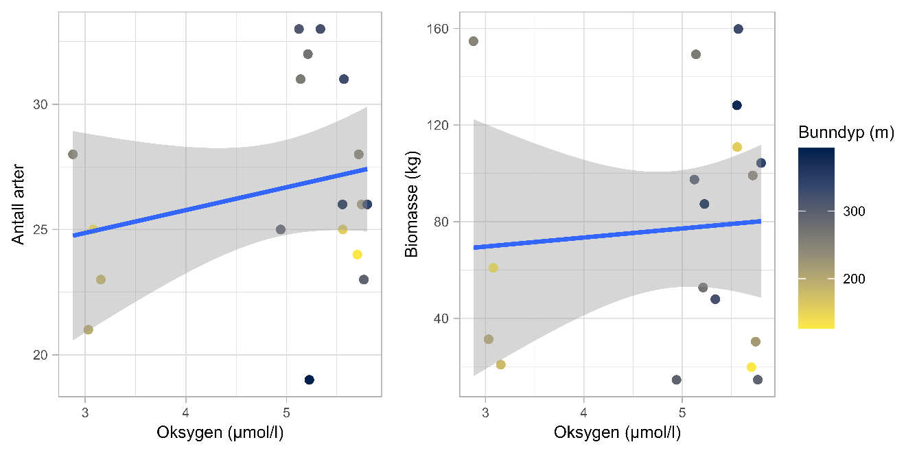 Figuren viser to punktdiagram med sammenhengen mellom oksygeninnhold og artsdiversitet (til venstre) og totalbiomasse (uten kronemaneter, til høyre). X-aksene viser oksygeninnhold (3-6 umol/l) og y-aksene viser henholdsvis antall arter (18-35) og biomasse (0-160 kg). Punktene har farge som representerer bunndyp, og er skalert fra mørk blå (dypest) til gul (grunnest).