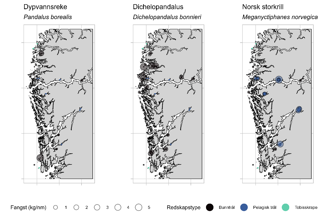 Figuren viser tre kartutsnitt med utbredelse i toktområdet for dypvannsreke (venstre), Dichelopandalus bonnieri i midten og norsk storkrill (høyre). Fangstene (kg/nm) er representert med sirkler med 5 ulike størrelser med verdiene 1 til 5, og har farge som representerer de ulike redskapstypene bunntrål (svart), pelagisk trål (blå) og tobisskrape (grønn).