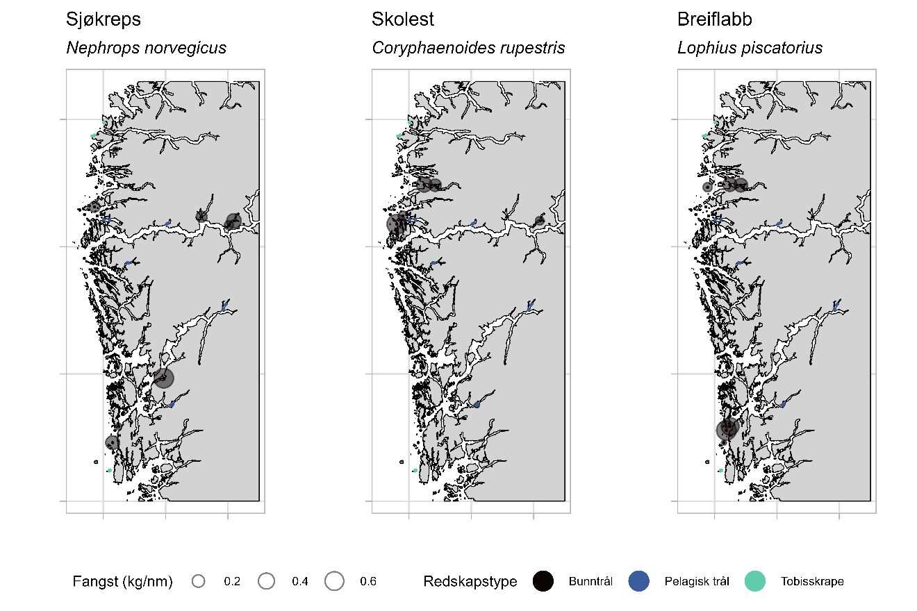 Figuren viser tre kartutsnitt med utbredelse i toktområdet for sjøkreps (venstre), skolest (midten) og breiflabb (høyre). Fangstfordeling (kg/nm) er representert med sirkler med 3 ulike størrelser med verdiene 0,2 til 0,6 og har farge som representerer de ulike redskapstypene bunntrål (svart), pelagisk trål (blå) og tobisskrape (grønn).