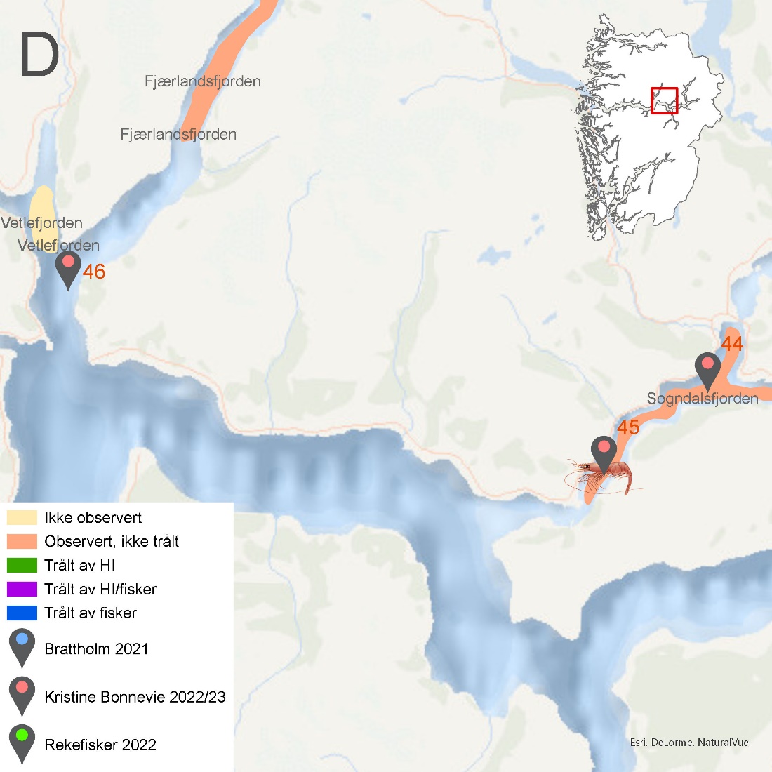 Figuren viser kartutsnitt fra Vestland fylke som vist i Figur 6.48. Kartet viser rekefelt med navn og med fargekoder som viser om de er ikke observert (gul), observert, men ikke trålt (oransje), trålt av HI (grønn), trålt av både HI og fisker (lilla) eller trålt av kun fisker (blå).