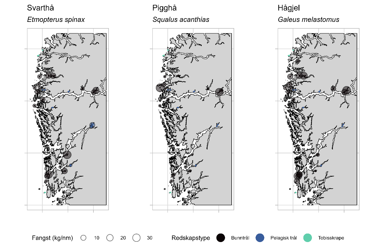 Figuren viser tre kartutsnitt for svarthå (venstre), pigghå (midten) og hågjeld (høyre). Fangstfordeling (kg/nm) er representert med sirkler med 3 ulike størrelser med verdiene 10 til 30, og har farge som representerer de ulike redskapstypene bunntrål (svart), pelagisk trål (blå) og tobisskrape (grønn).