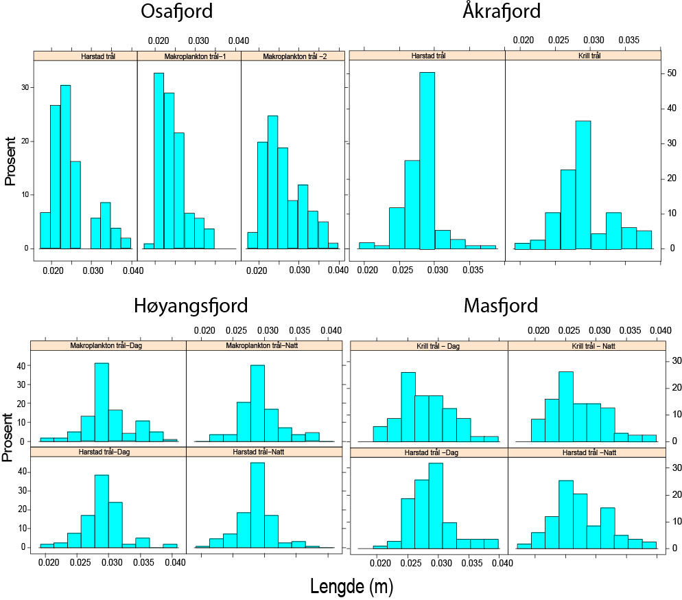 Figuren viser 13 mindre stolpediagram over lengdefordelinger av norsk storkrill i trålgangster, per fjord, redkap og tid på døgnet. For Osafjorden (øverst til venstre) vises tre diagram med data fra henholdsvis harstadtrål, mesoplanktontrål 1 og 2. Fra Åkrafjorden (øverst til høyre) vises to diagrammer med data fra harstadtrål og krilltrål. Fra både Høyangsfjorden (nederst til venstre) og Masfjorden (nederst til høyre) vises fire diagram med data fra mesoplanktontrål dag og natt (øverst) og harstadtrål (dag og natt) nederst. Samtlige x-akser viser lengde (0,00-0,04 m), mens y-aksene varierer fra 0-30 % til 0-50 %. 