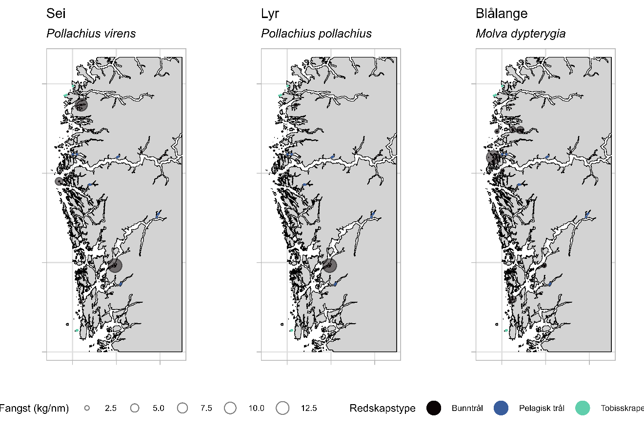 Figuren viser tre kartutsnitt med utbredelse i toktområdet for sei (venstre), lyr (midten) og blålange (høyre). Fangstfordeling (kg/nm) er representert med sirkler med 5 ulike størrelser med verdiene 0,25 til 12,5 og har farge som representerer de ulike redskapstypene bunntrål (svart), pelagisk trål (blå) og tobisskrape (grønn).