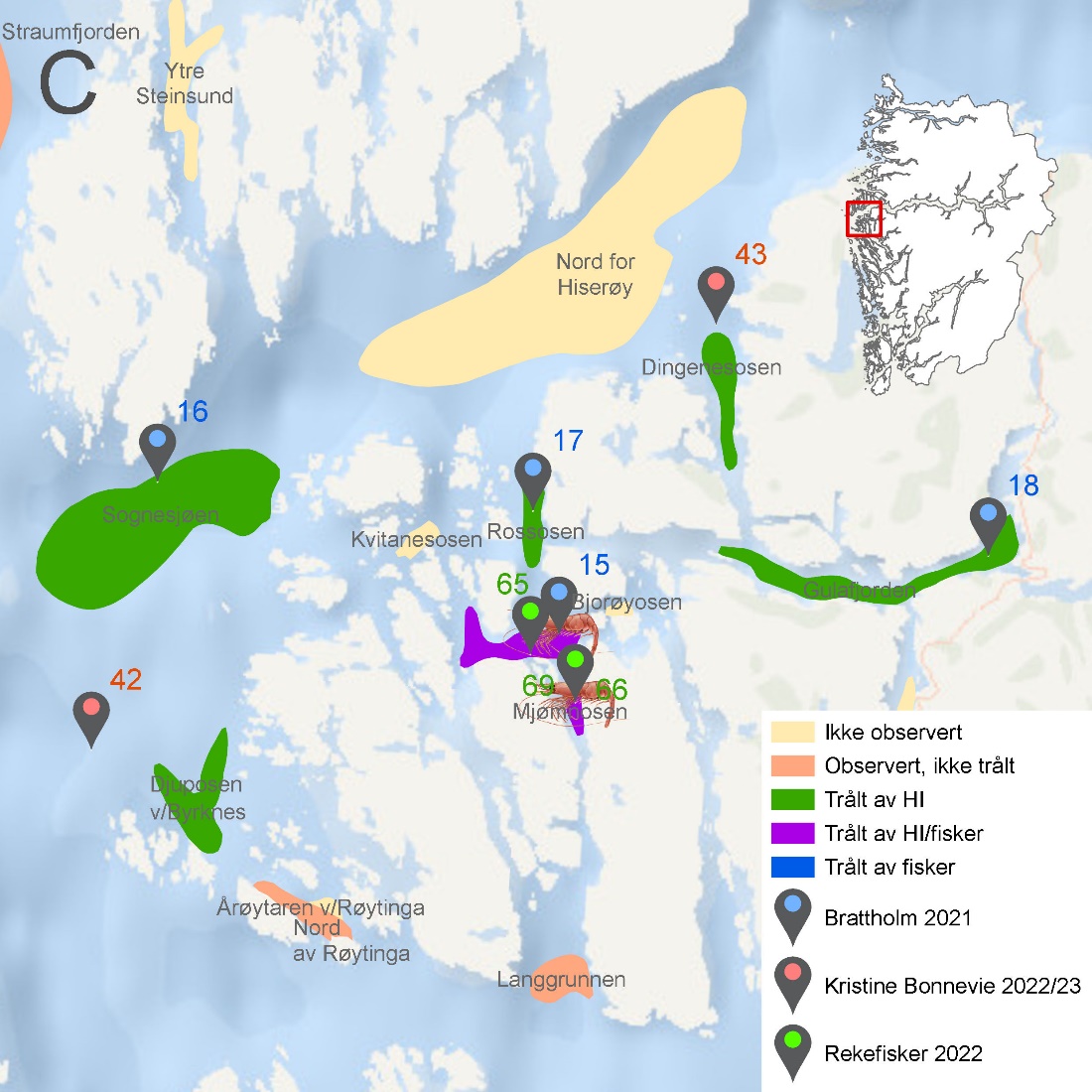 Figuren viser kartutsnitt fra Vestland fylke som vist i Figur 6.48. Kartet viser rekefelt med navn og med fargekoder som viser om de er ikke observert (gul), observert, men ikke trålt (oransje), trålt av HI (grønn), trålt av både HI og fisker (lilla) eller trålt av kun fisker (blå).