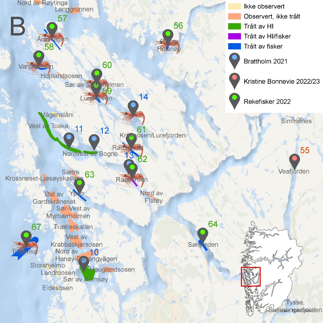 Figuren viser kartutsnitt fra Vestland fylke som vist i Figur 6.48. Kartet viser rekefelt med navn og med fargekoder som viser om de er ikke observert (gul), observert, men ikke trålt (oransje), trålt av HI (grønn), trålt av både HI og fisker (lilla) eller trålt av kun fisker (blå).