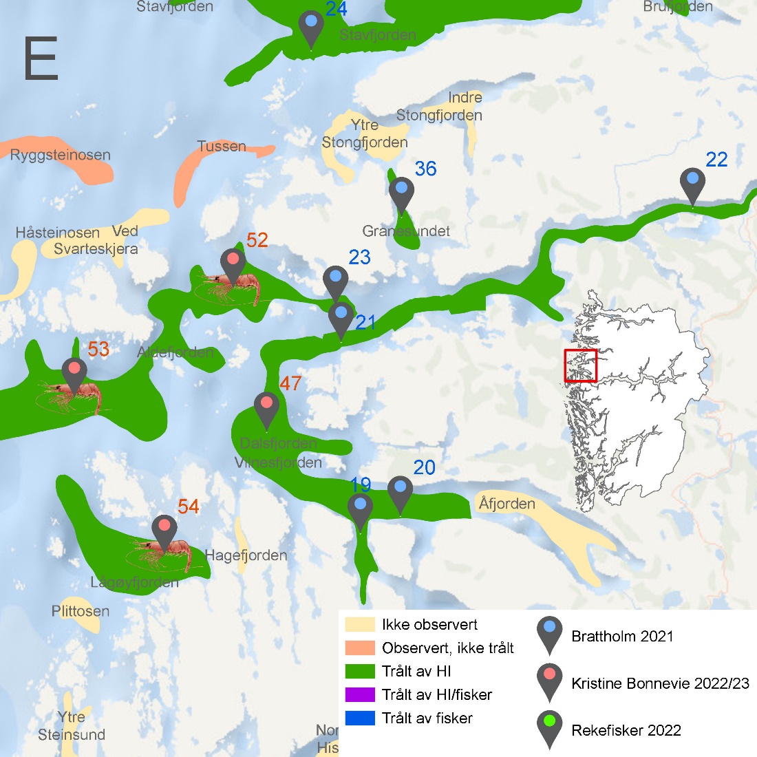 Figuren viser kartutsnitt fra Vestland fylke som vist i Figur 6.48. Kartet viser rekefelt med navn og med fargekoder som viser om de er ikke observert (gul), observert, men ikke trålt (oransje), trålt av HI (grønn), trålt av både HI og fisker (lilla) eller trålt av kun fisker (blå).