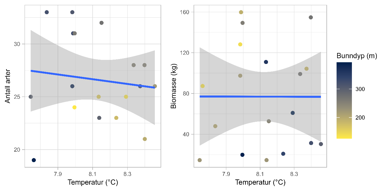 Figuren viser to punktdiagram med sammenhengen mellom temperatur og artsdiversitet (til venstre) og totalbiomasse (uten kronemaneter, til høyre). X-aksene viser temperatur (7,7-8,5°C) og y-aksene viser henholdsvis antall arter (18-35) og biomasse (0-160 kg). Punktene har farge som representerer bunndyp, og er skalert fra mørk blå (dypest) til gul (grunnest).