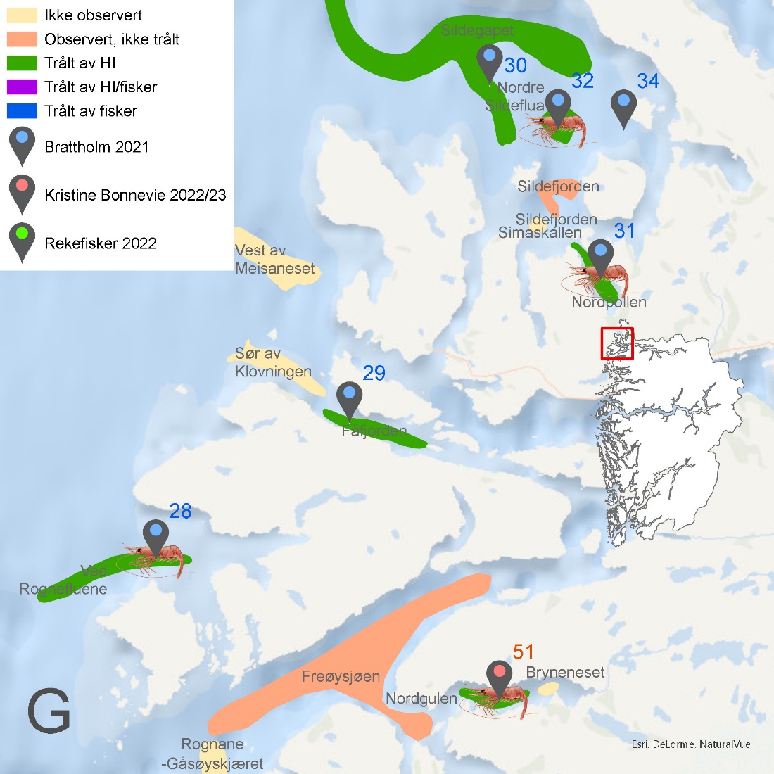 Figuren viser kartutsnitt fra Vestland fylke som vist i Figur 6.48. Kartet viser rekefelt med navn og med fargekoder som viser om de er ikke observert (gul), observert, men ikke trålt (oransje), trålt av HI (grønn), trålt av både HI og fisker (lilla) eller trålt av kun fisker (blå).