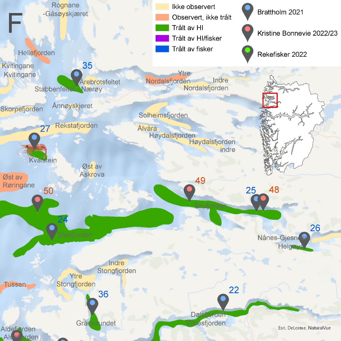 Figuren viser kartutsnitt fra Vestland fylke som vist i Figur 6.48. Kartet viser rekefelt med navn og med fargekoder som viser om de er ikke observert (gul), observert, men ikke trålt (oransje), trålt av HI (grønn), trålt av både HI og fisker (lilla) eller trålt av kun fisker (blå).