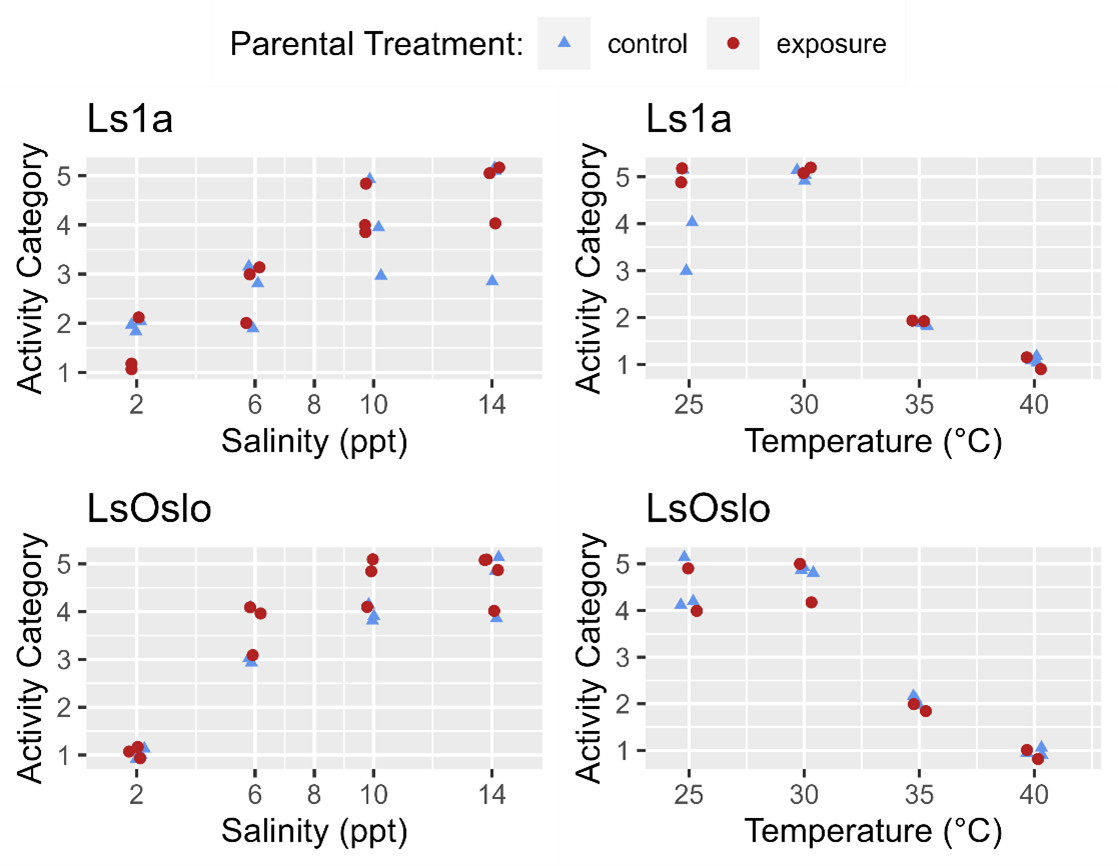 Figure 22 shows a graph that suggests that the offspring of LsOslo lice that had been exposed to low salinities were more active than offspring from lice that had not been exposed. The graph for Ls1a does not suggest the same difference, and graphs for temperature treatments also do not suggest differences between groups or treatments.