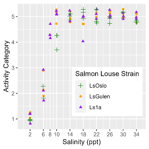 Figure 18 shows that copepodids from all strains exhibit unaffected activity at salinities of 14ppt and above. The activity levels decline at lower salinities and at 2 ppt all copepodids are inactive. The activity decline at decreased salinities between 10 and 6 ppt vary between strains.