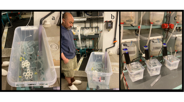 Fig. 17 show pictures (A, B and C) of the experimental setup for salinity and temperature treatments of salmon lice.
