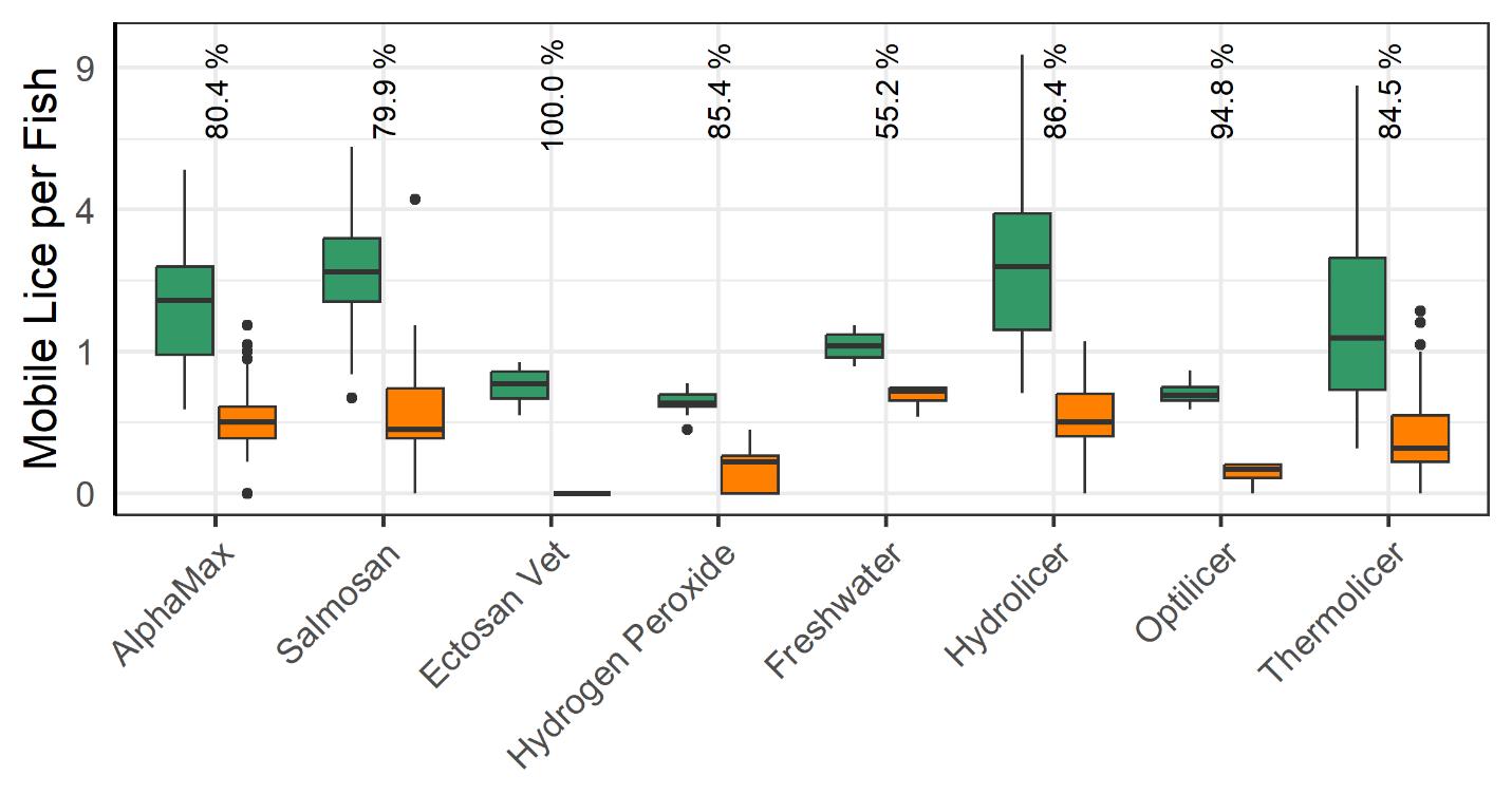 Fig. 15. Infection levels before and after delousing, with greater efficacy after medicinal and thermal treatments