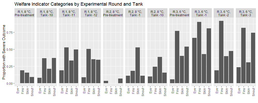 Fig. 5. Frequency of severe outcome welfare scores across experiment rounds and tanks, showing generally poorer welfare in Round 3