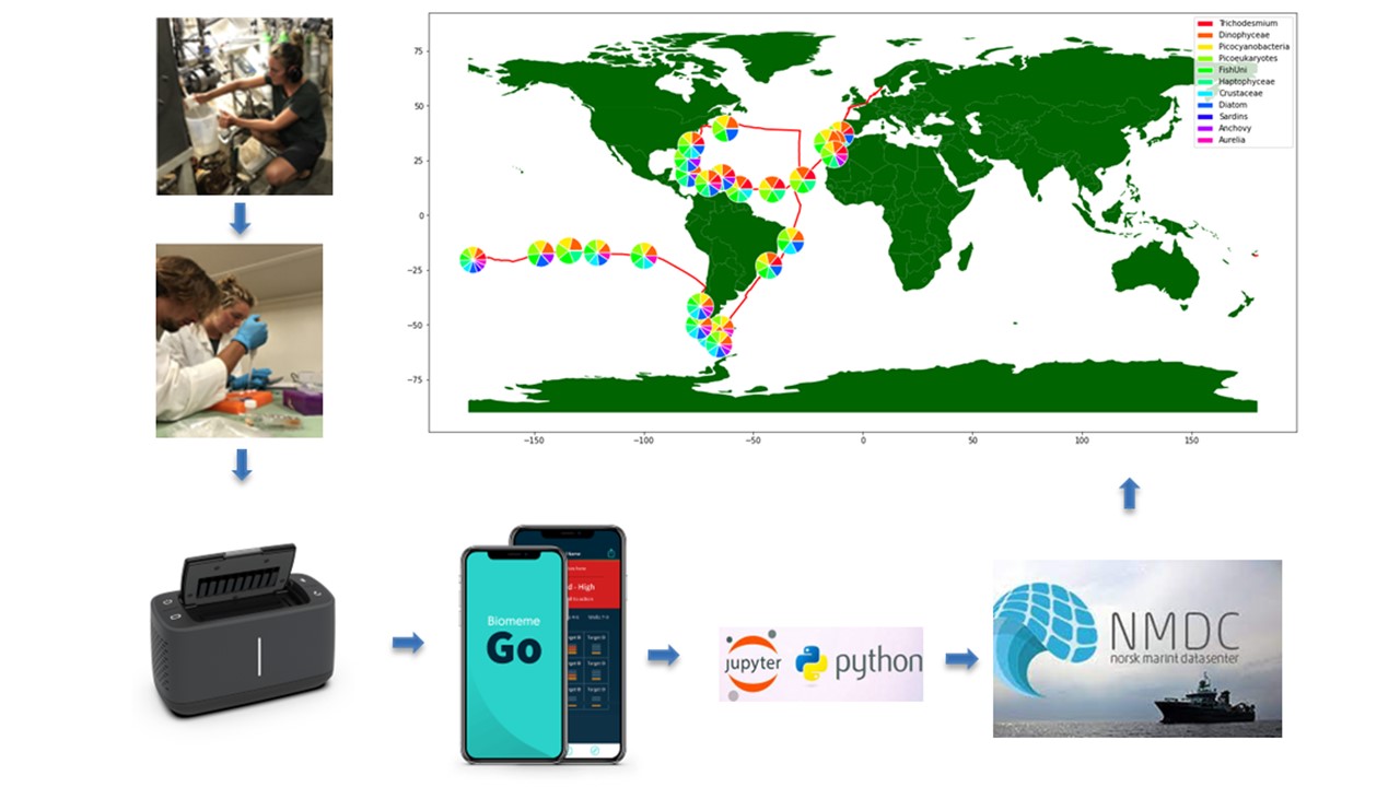 eDNA sampling shown step by step - Water samples are collected every third day at ~ 5m below surface whilst the ship is in transit. Abundance of a selection of taxa (11 targets) are analyzed using qPCR and the relative composition of species using next-g generation sequencing (NGS). The water is filtered using in-line Sterivex (n=3; max. 2L) and Waterra (n=1; max.10L) filters, then stored at -20C.