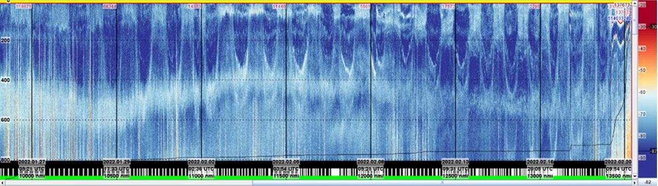 Figure 8. Echogram from the surface to 800 m depth along the voyage from the Azores to Rio de Janeiro.