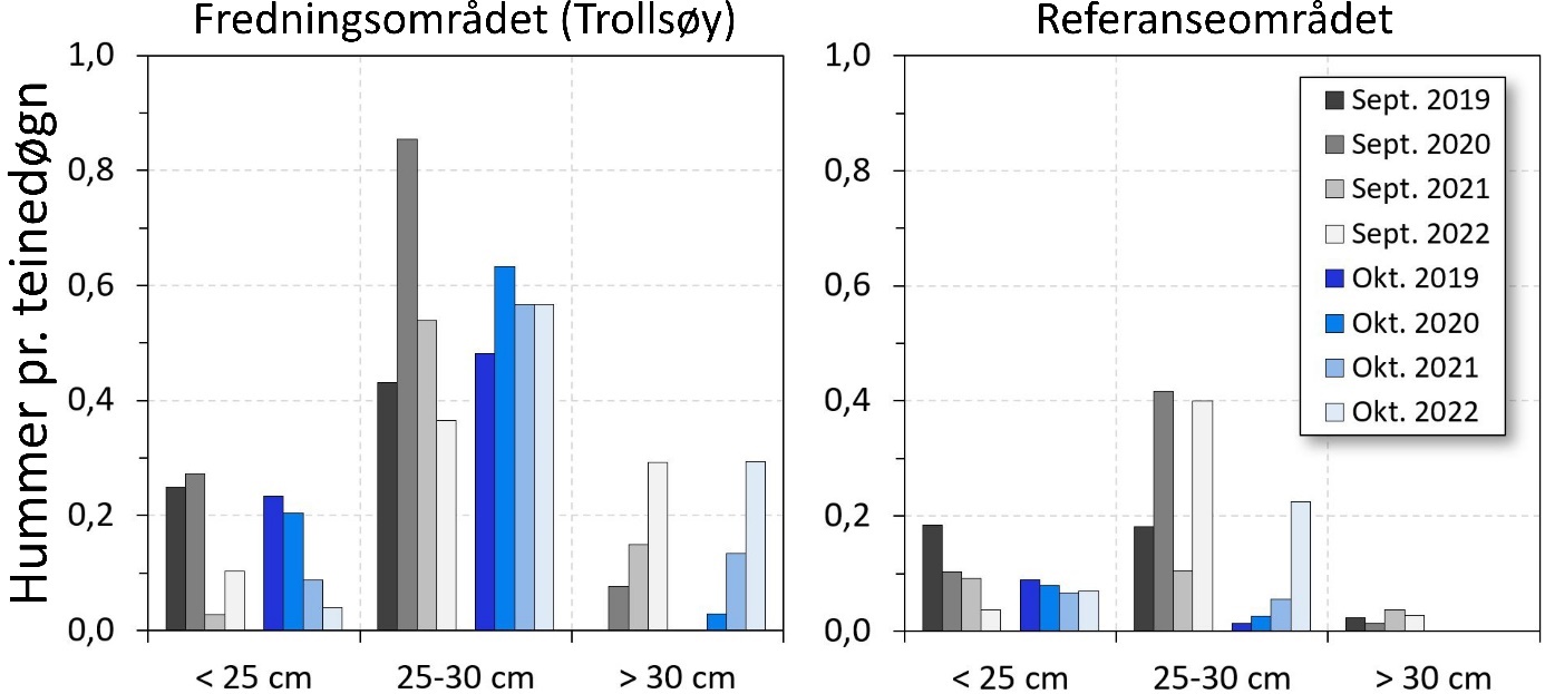 Figur 8. Fangst av hummer (gjennomsnittlig antall pr. teinedøgn) i overvåkningsfisket i fredningsområdet og referanseområdet fra 2019 til 2022.