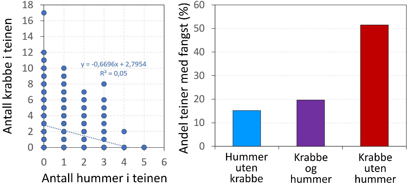 Figur 12. Sammenheng mellom antall hummer og taskekrabbe i teinene (t.v.), og forekomst av taskekrabbe og/eller hummer i teinene gitt som andel av teinene med fangst (t.h.).