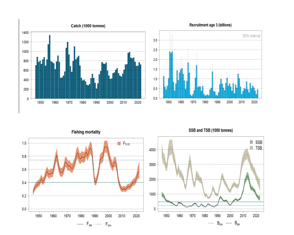 Figure 3.1. Standard plots for Northeast Arctic cod (ICES subareas 1 and 2)