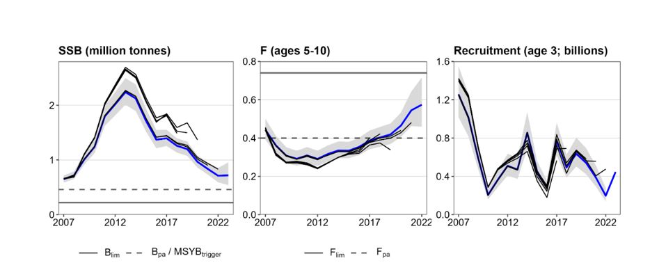 Figure 3.2c. NEA cod SSB, Fbar and R historical retrospective pattern for final SAM run
