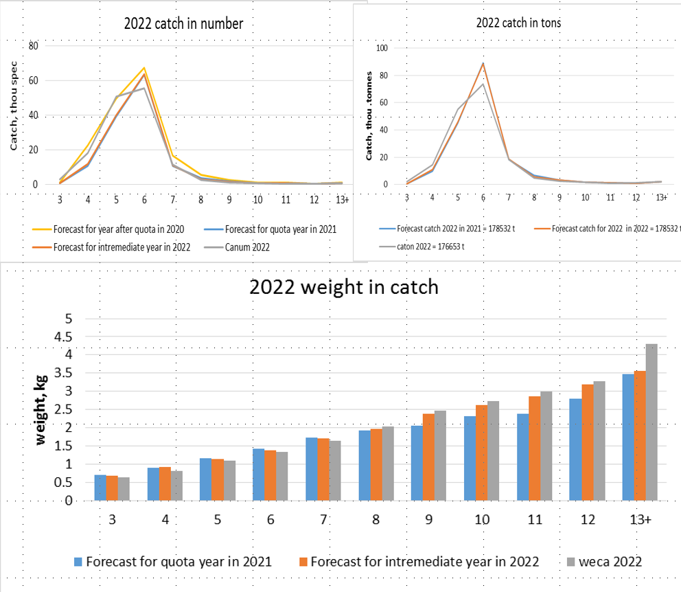 catch and weight at age