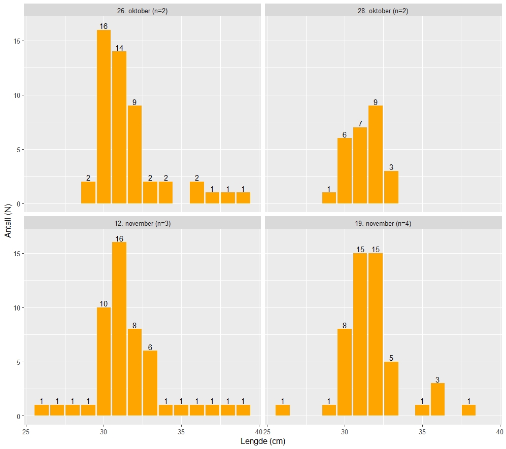 Figur 4. Lengdefordelingen av makrell pr dag (N=antall fisk, n=antall kast pr dag)